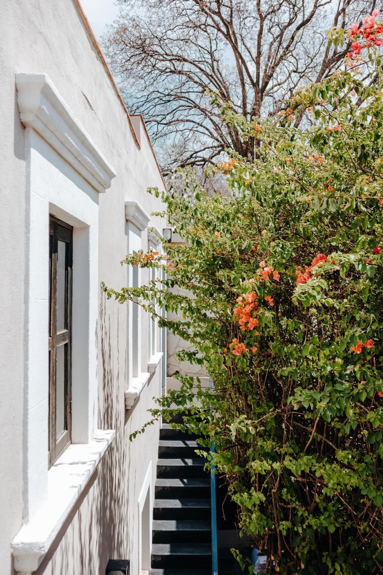 Hotel Maria Bonita San Miguel de Allende Zewnętrze zdjęcie